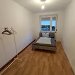 Spacious Flat With 3 Bedooms For 5-8 Guests *